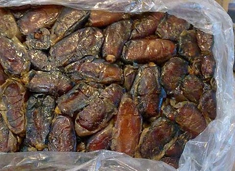 تصویر 2 از قیمت خرما شاهانی جهرم + خرید باور نکردنی
